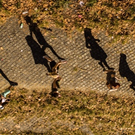 Students walking on sidewalk, view from above